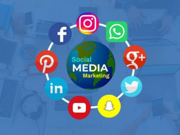 Drive Results with a Trusted SMM Company in Chandigarh